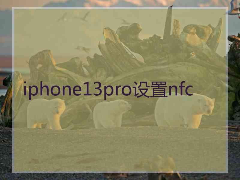 iphone13pro设置nfc