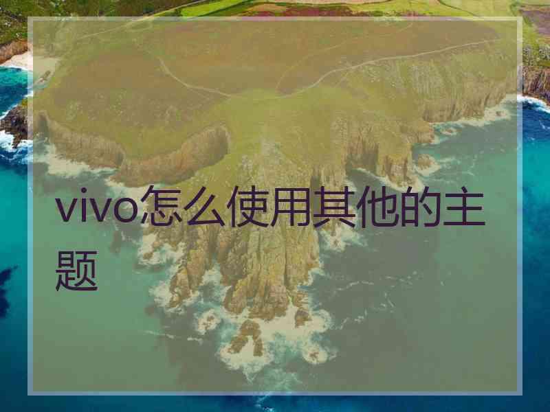 vivo怎么使用其他的主题