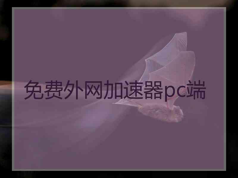 免费外网加速器pc端