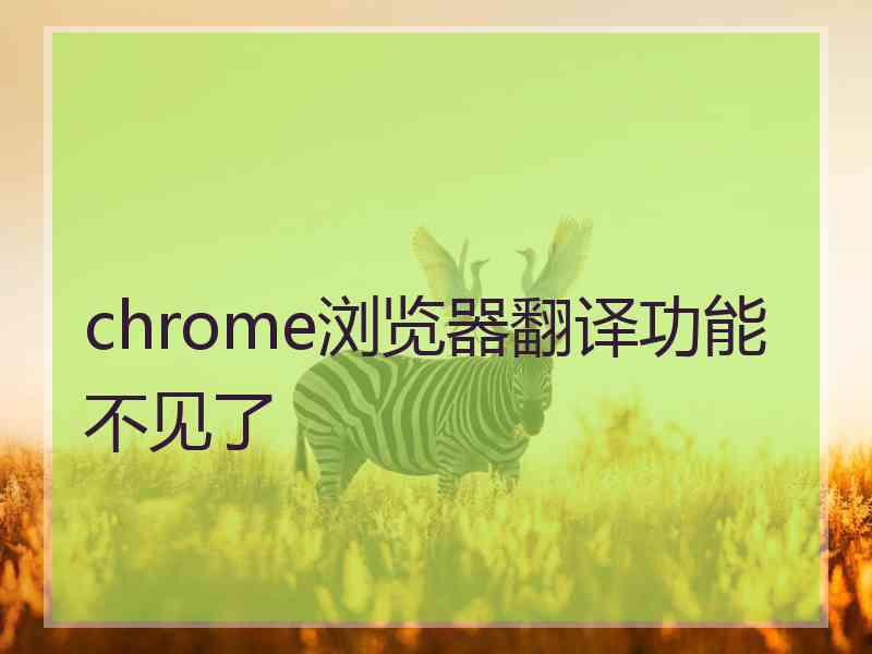 chrome浏览器翻译功能不见了