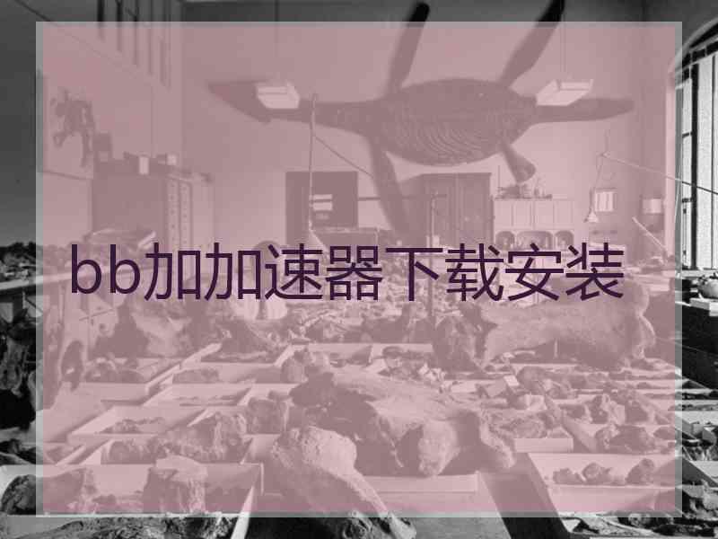 bb加加速器下载安装