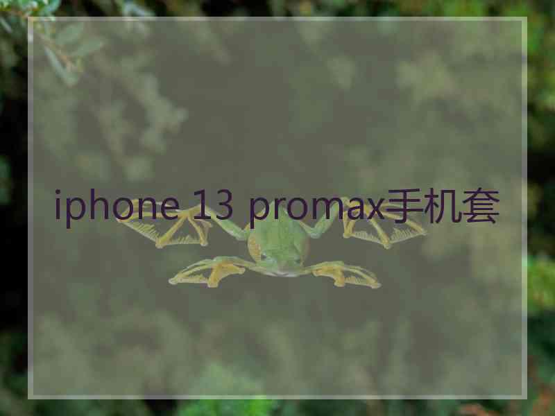 iphone 13 promax手机套