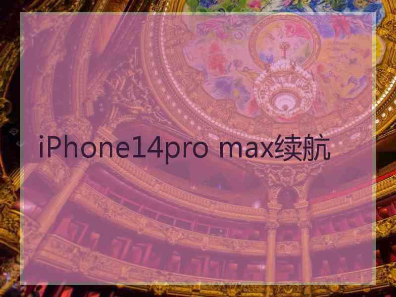 iPhone14pro max续航