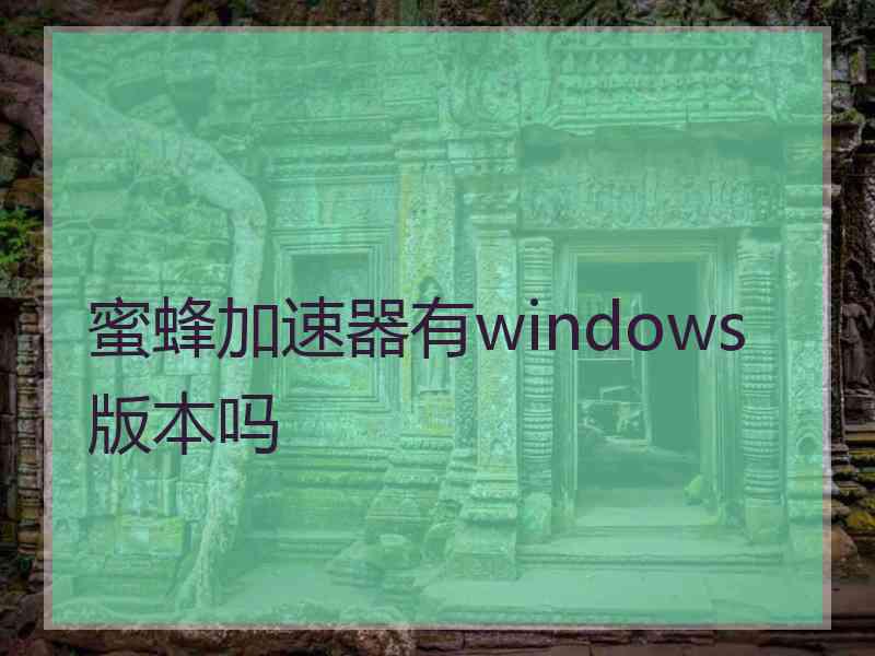 蜜蜂加速器有windows版本吗