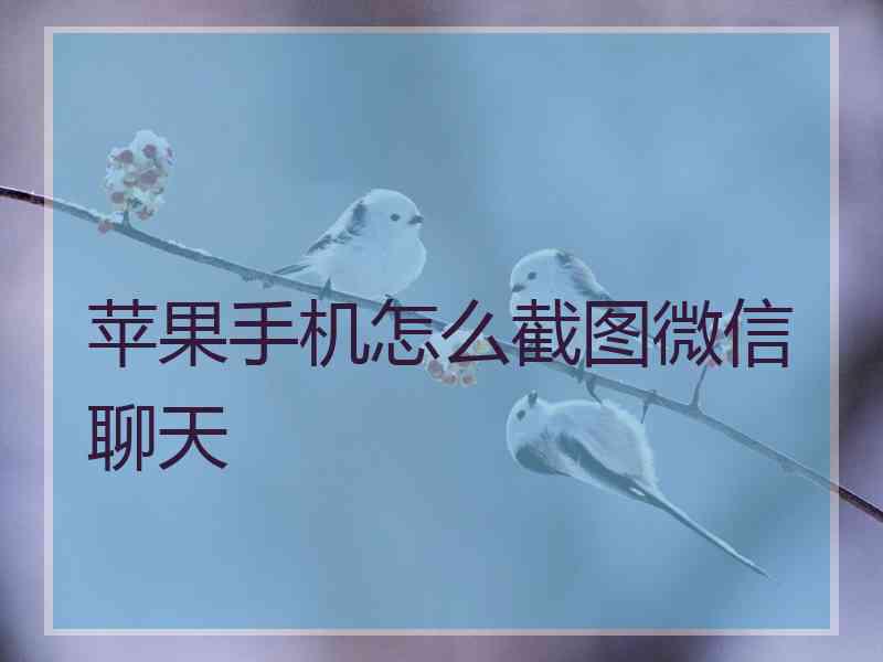 苹果手机怎么截图微信聊天