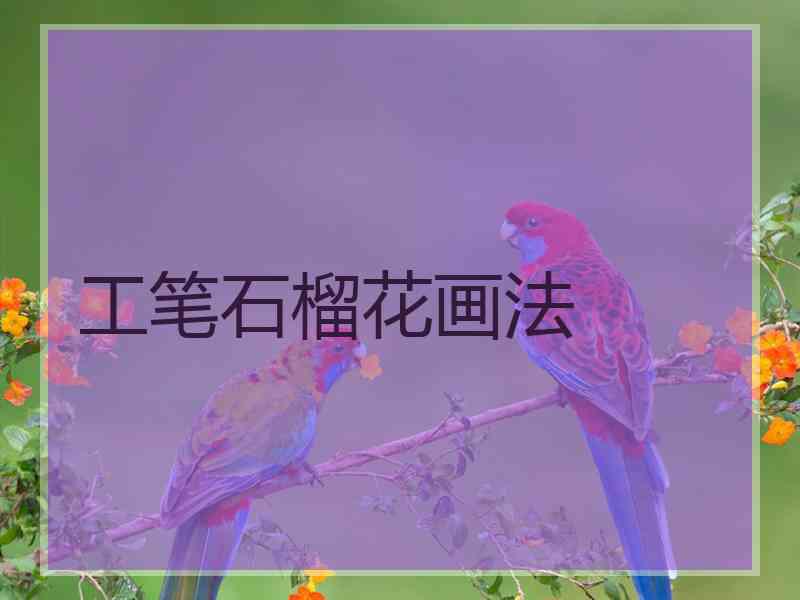 工笔石榴花画法