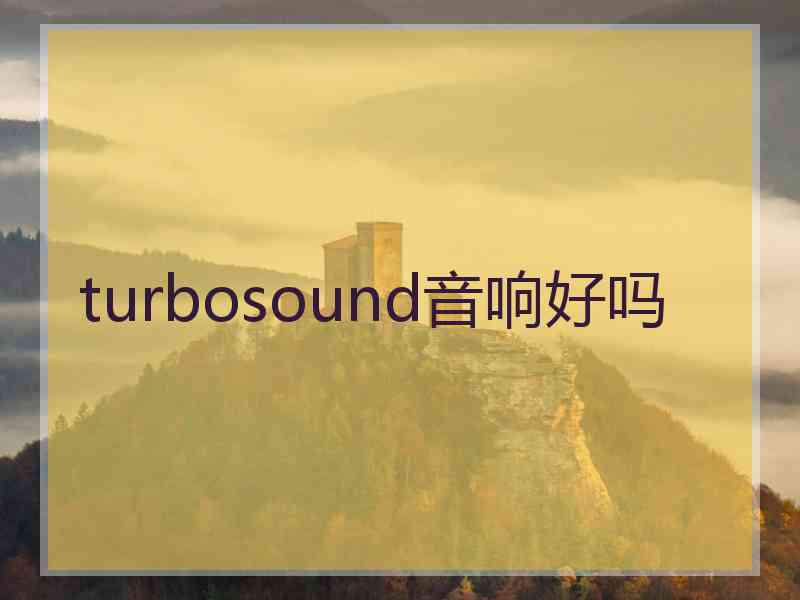 turbosound音响好吗