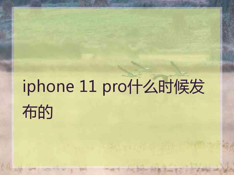 iphone 11 pro什么时候发布的