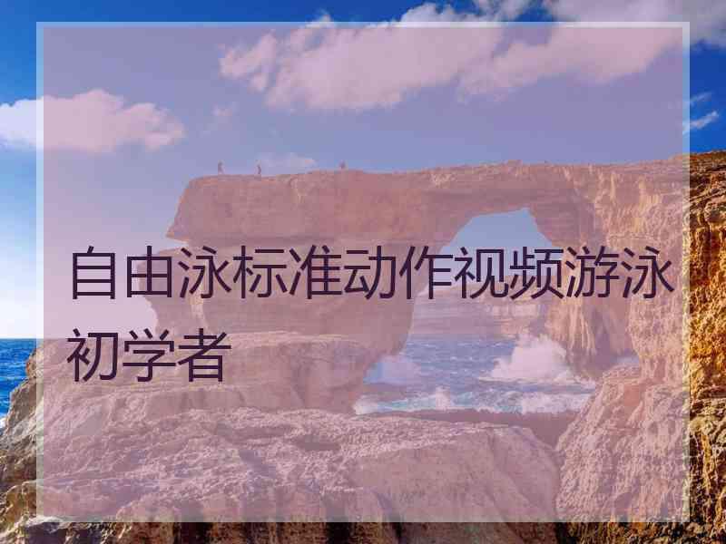 自由泳标准动作视频游泳初学者