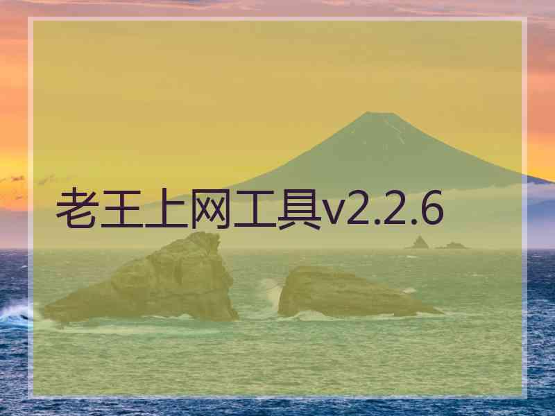 老王上网工具v2.2.6