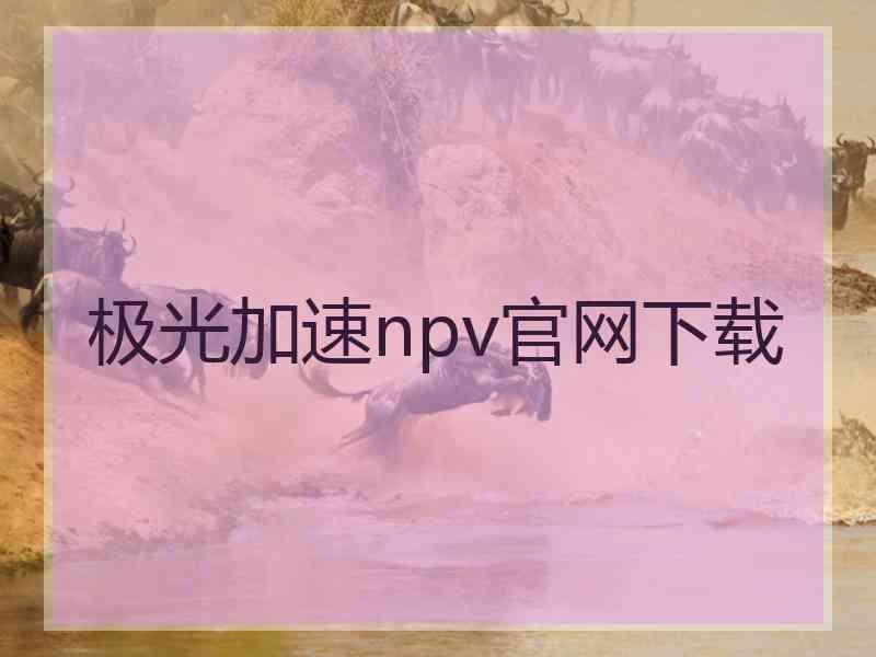 极光加速npv官网下载