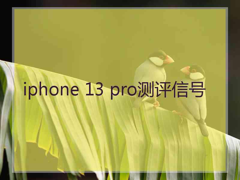 iphone 13 pro测评信号