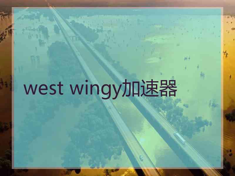 west wingy加速器