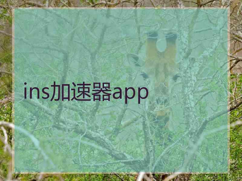 ins加速器app