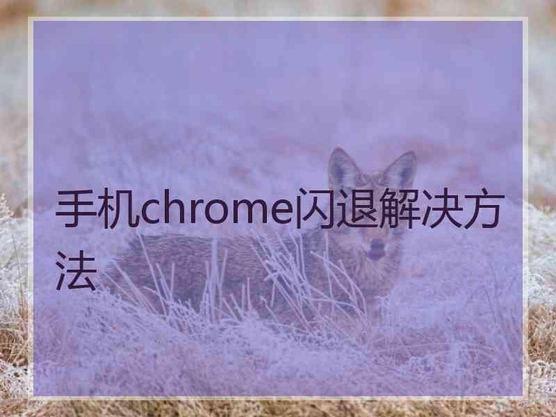 手机chrome闪退解决方法