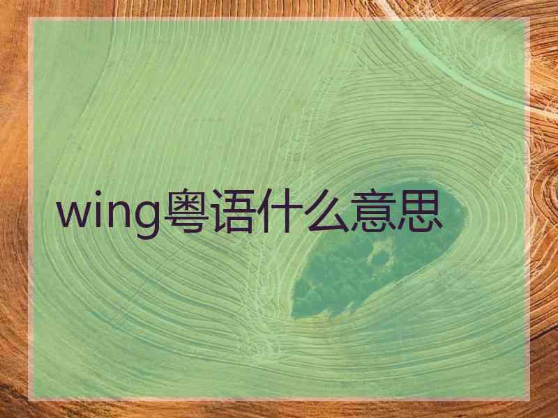 wing粤语什么意思