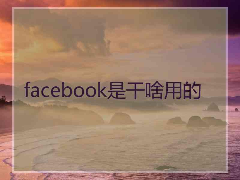 facebook是干啥用的