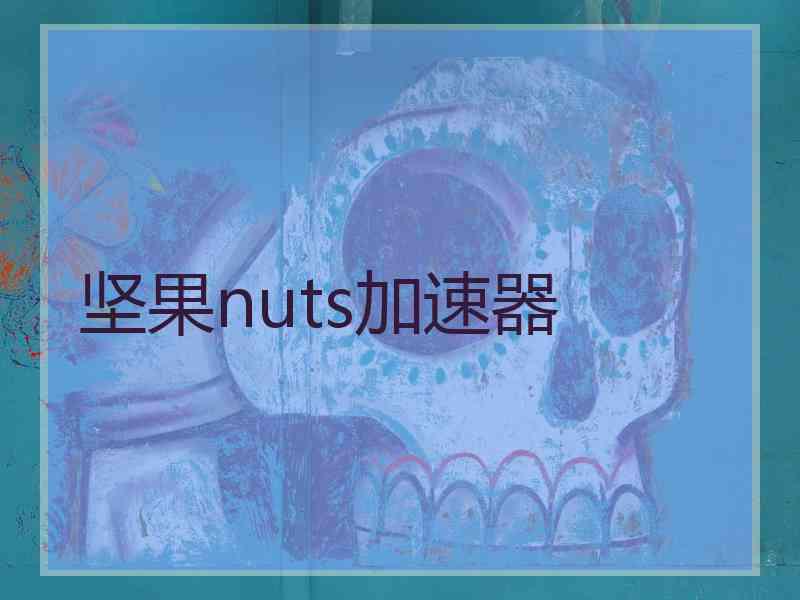 坚果nuts加速器