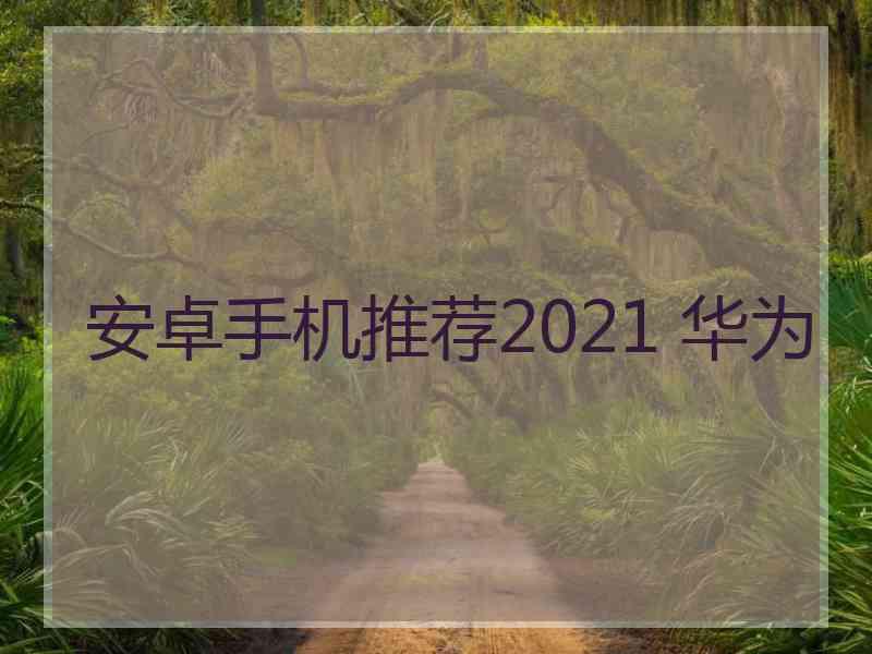 安卓手机推荐2021 华为