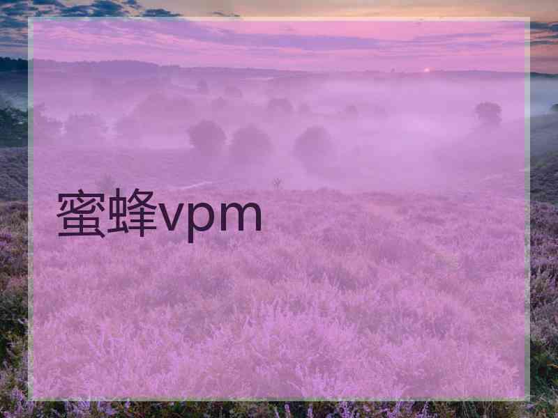 蜜蜂vpm