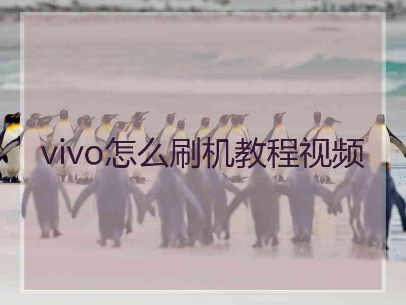 vivo怎么刷机教程视频