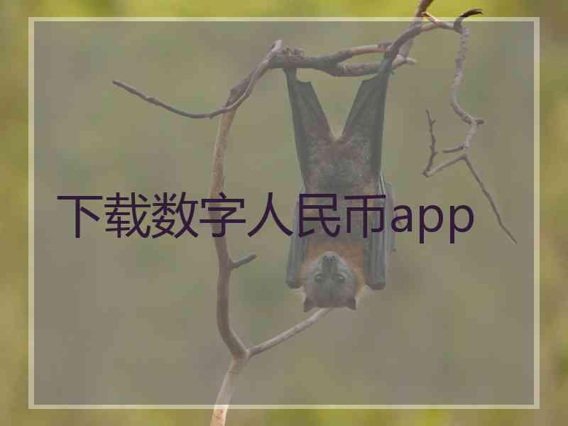 下载数字人民币app