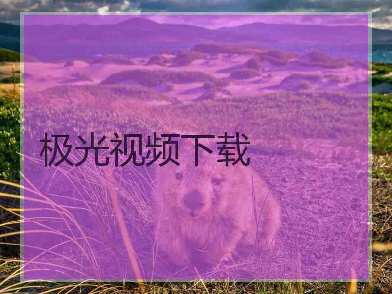 极光视频下载