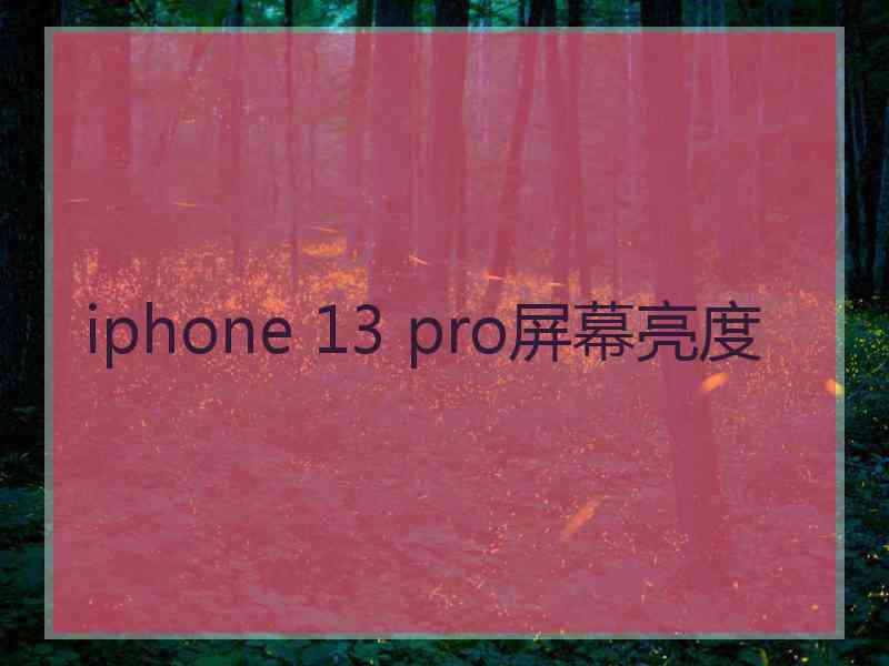 iphone 13 pro屏幕亮度