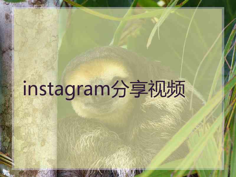 instagram分享视频