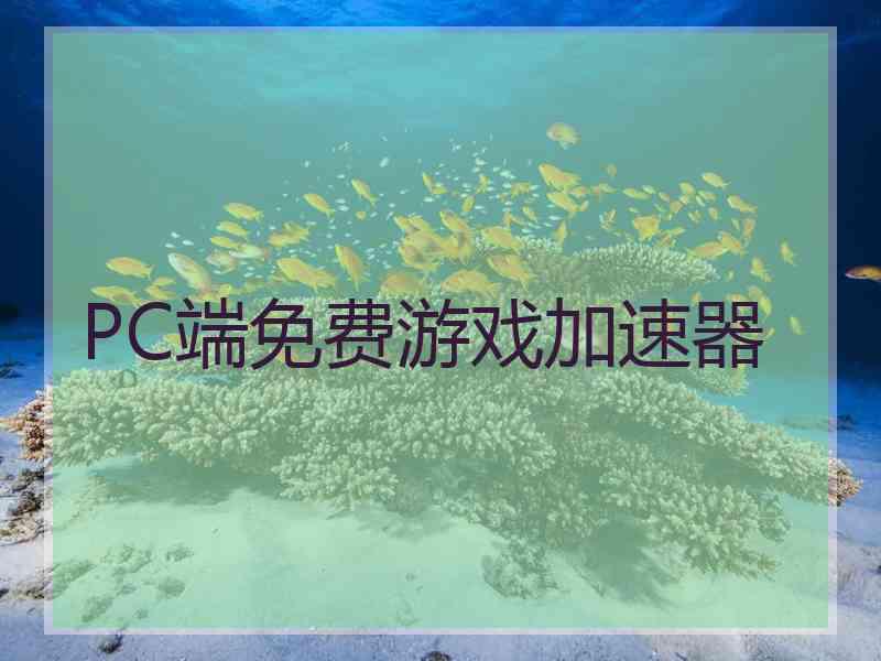 PC端免费游戏加速器