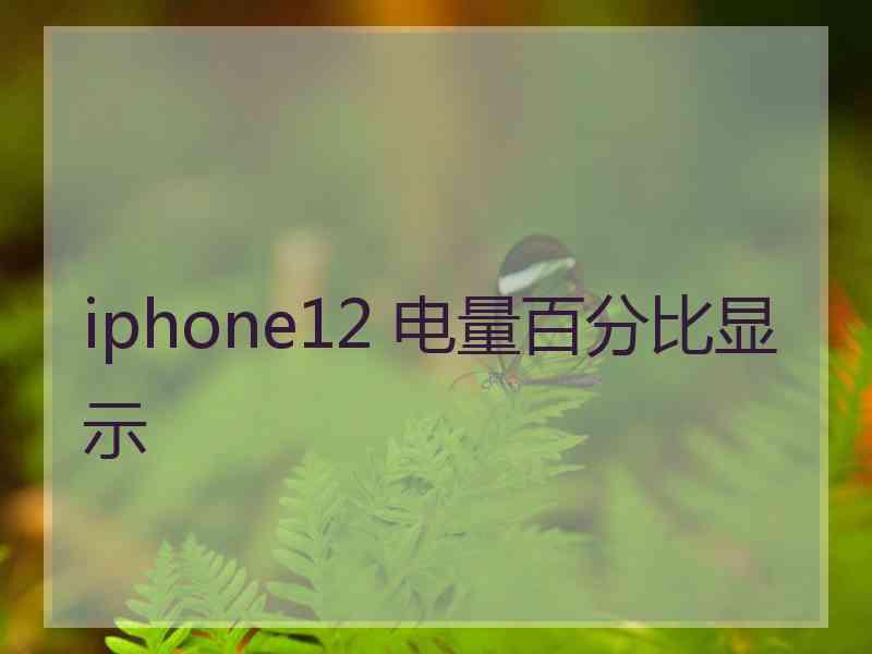 iphone12 电量百分比显示