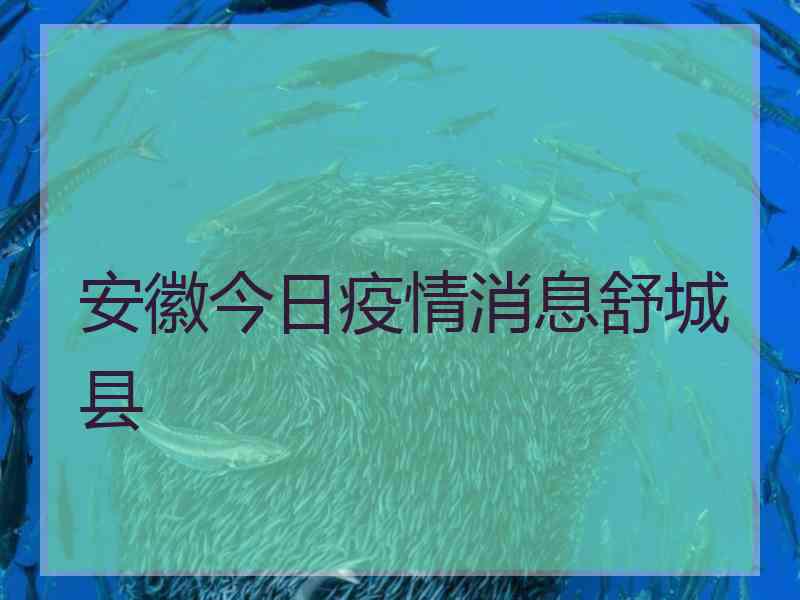 安徽今日疫情消息舒城县