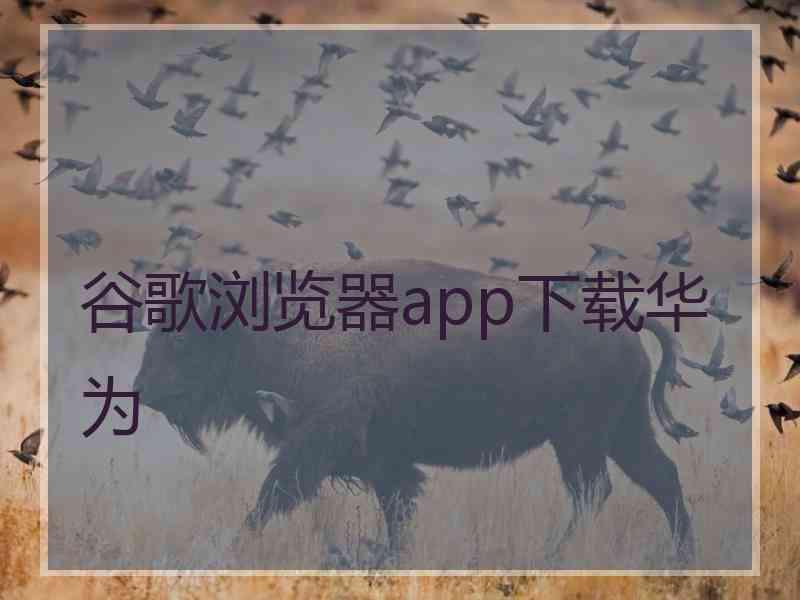 谷歌浏览器app下载华为