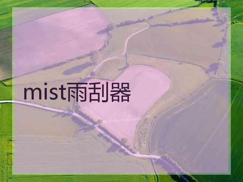 mist雨刮器