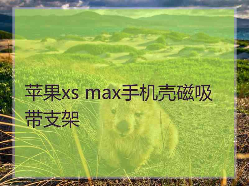 苹果xs max手机壳磁吸带支架