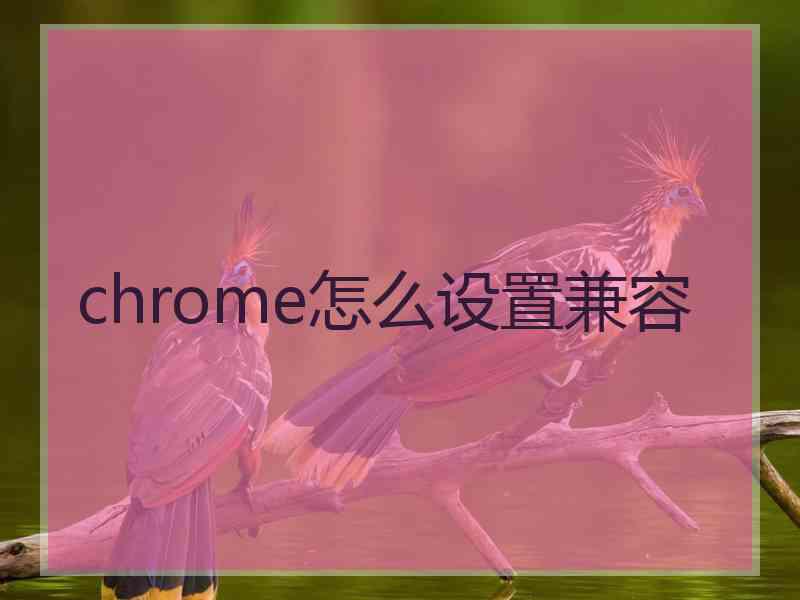 chrome怎么设置兼容