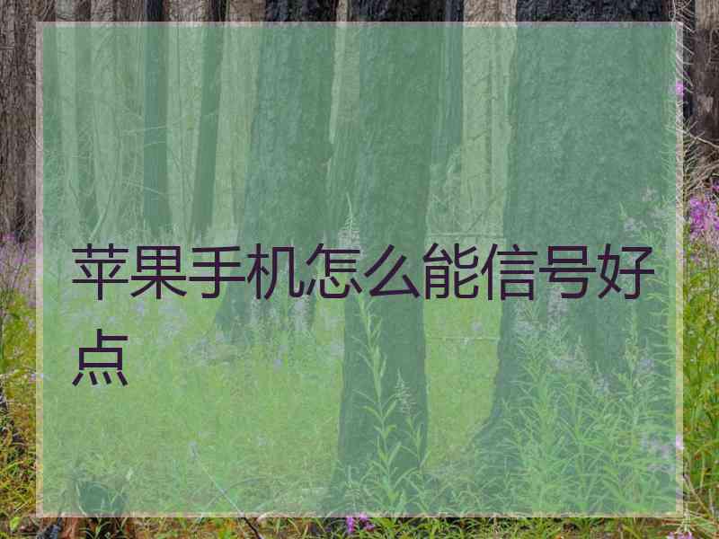 苹果手机怎么能信号好点