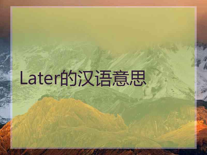 Later的汉语意思