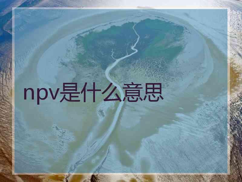 npv是什么意思