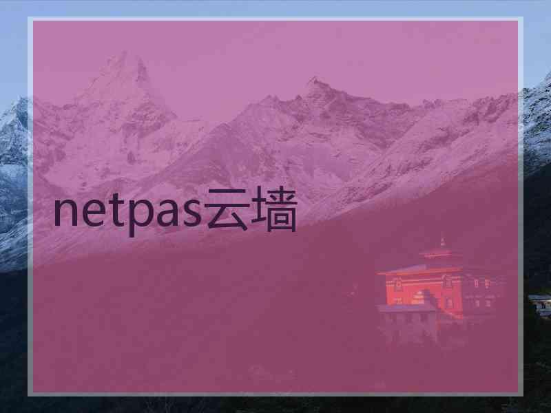 netpas云墙