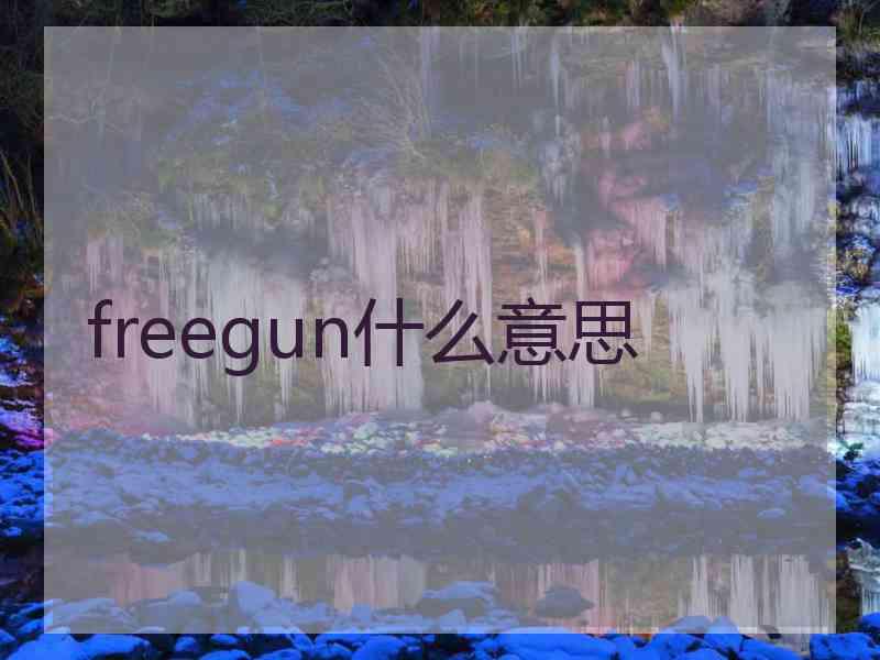 freegun什么意思