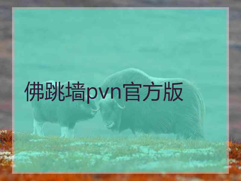 佛跳墙pvn官方版