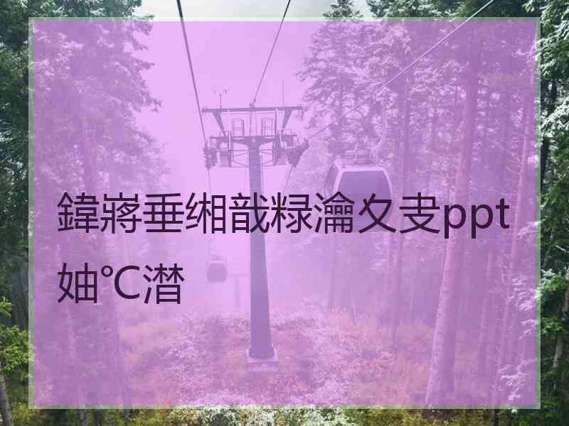 鍏嶈垂缃戠粶瀹夊叏ppt妯℃澘