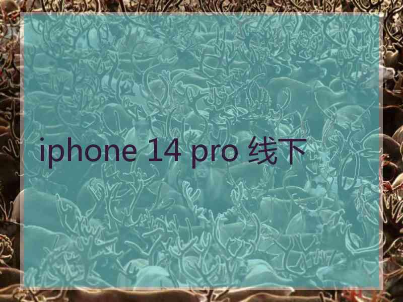 iphone 14 pro 线下