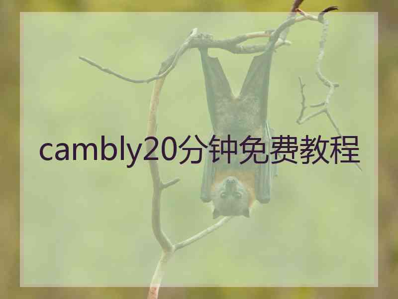 cambly20分钟免费教程