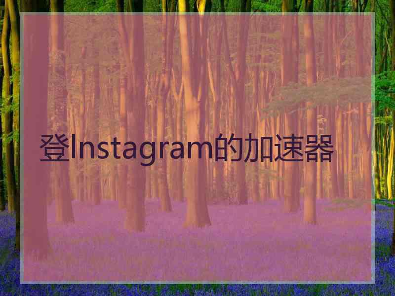 登lnstagram的加速器