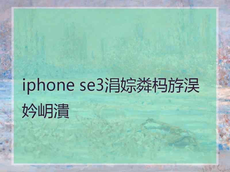 iphone se3涓婃粦杩斿洖妗岄潰