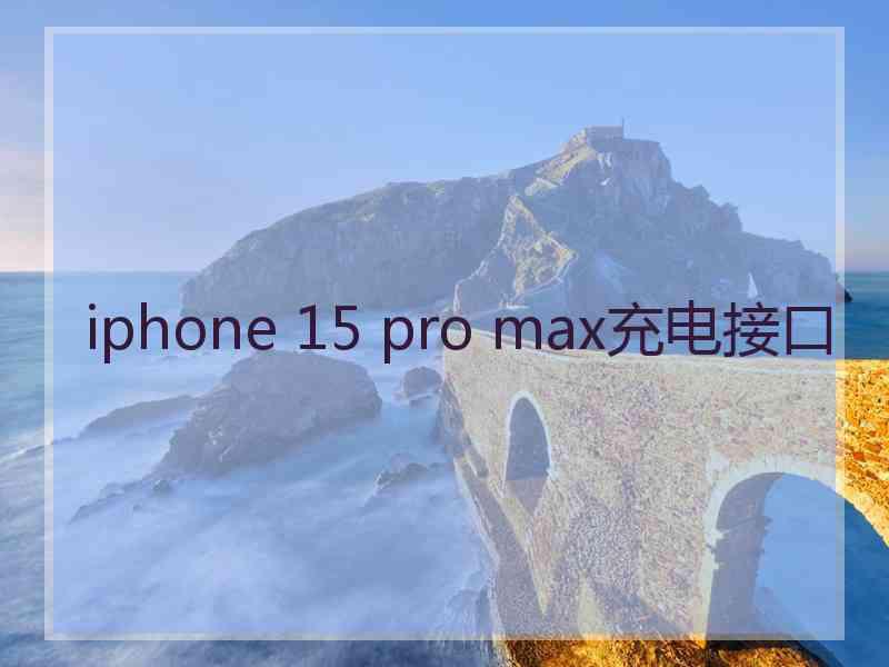 iphone 15 pro max充电接口