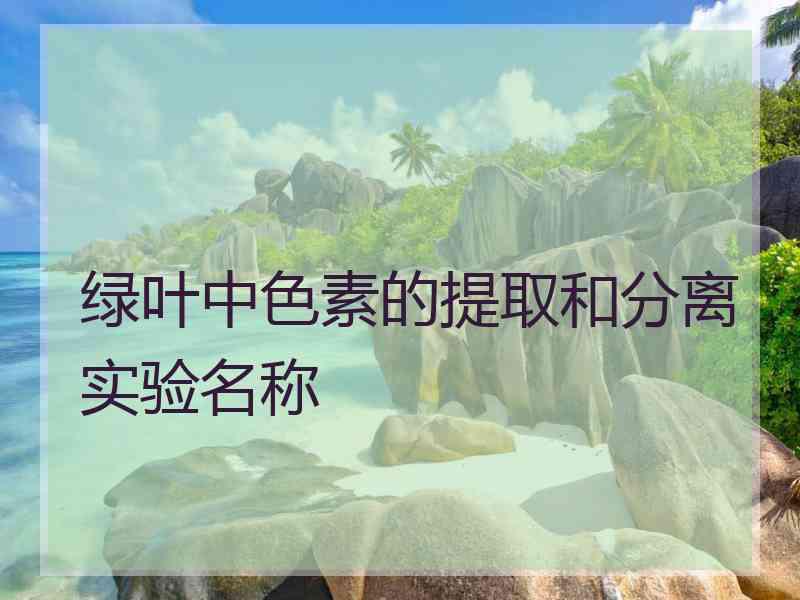 绿叶中色素的提取和分离实验名称