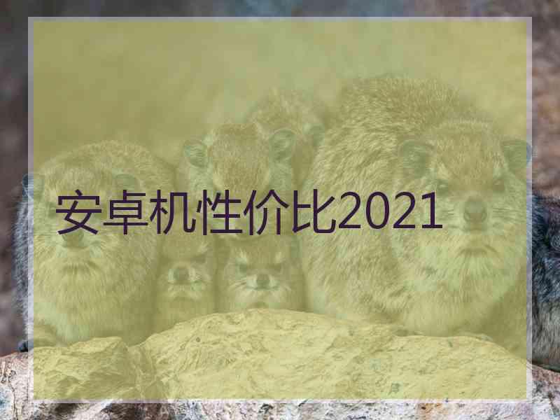 安卓机性价比2021